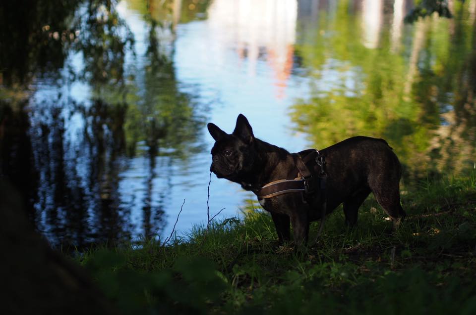 Winnaar fotowedstrijd Herfst 