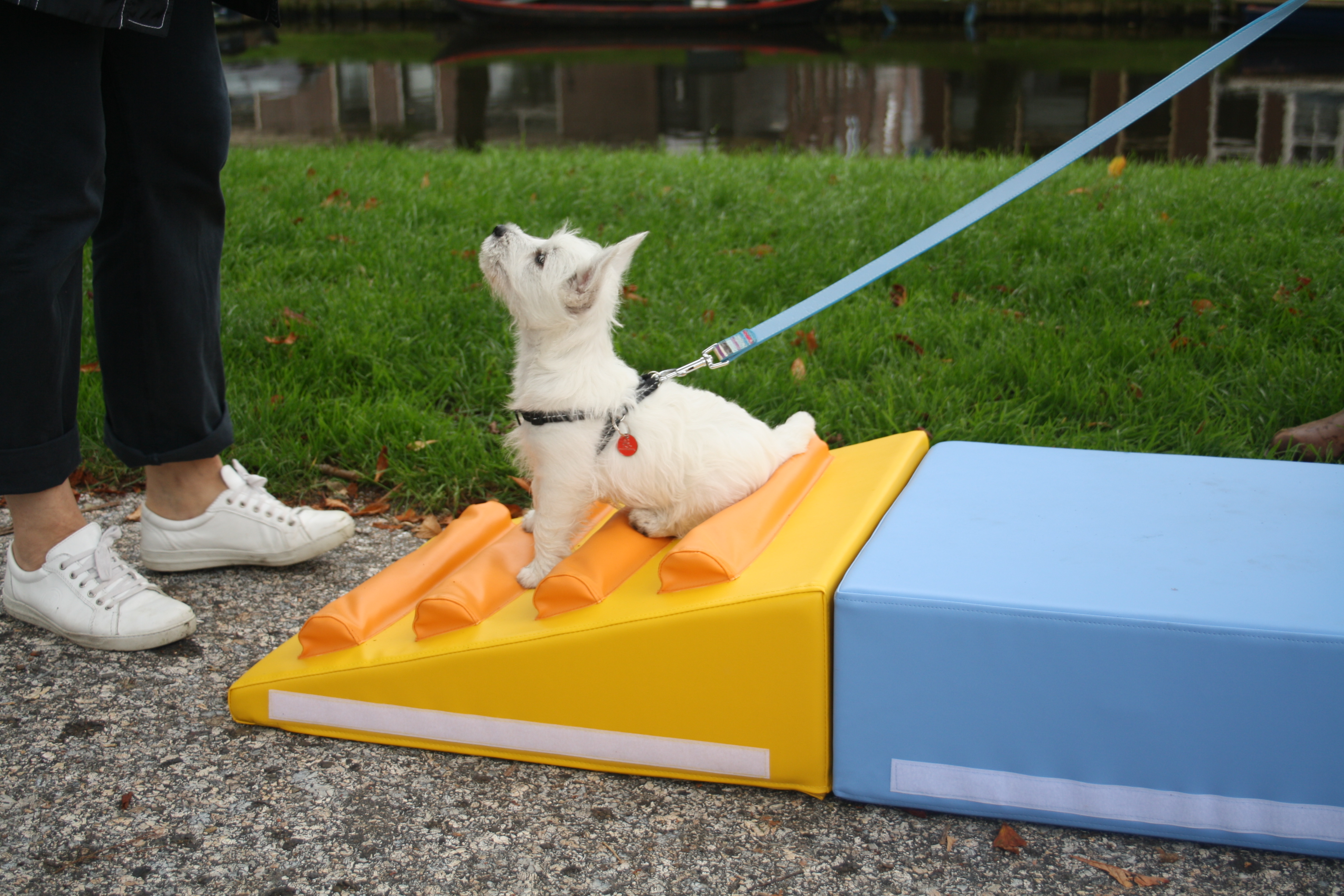 Start nieuwe trainingen ! Nog enkele plaatsen vrij...