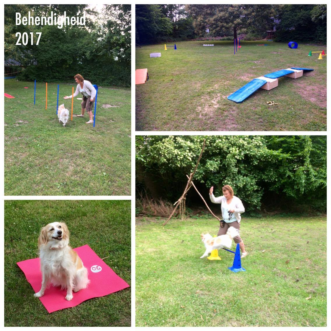 Behendigheid op nieuw terrein !