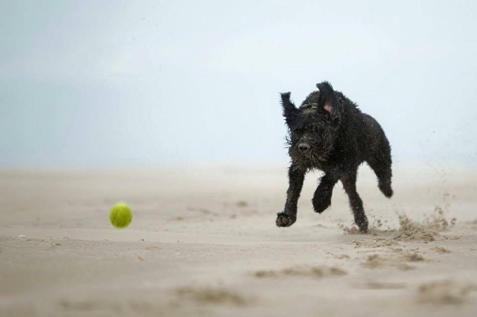 Nieuwe agenda najaar 2017