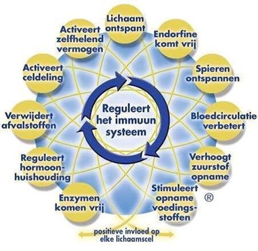 HTA schema 